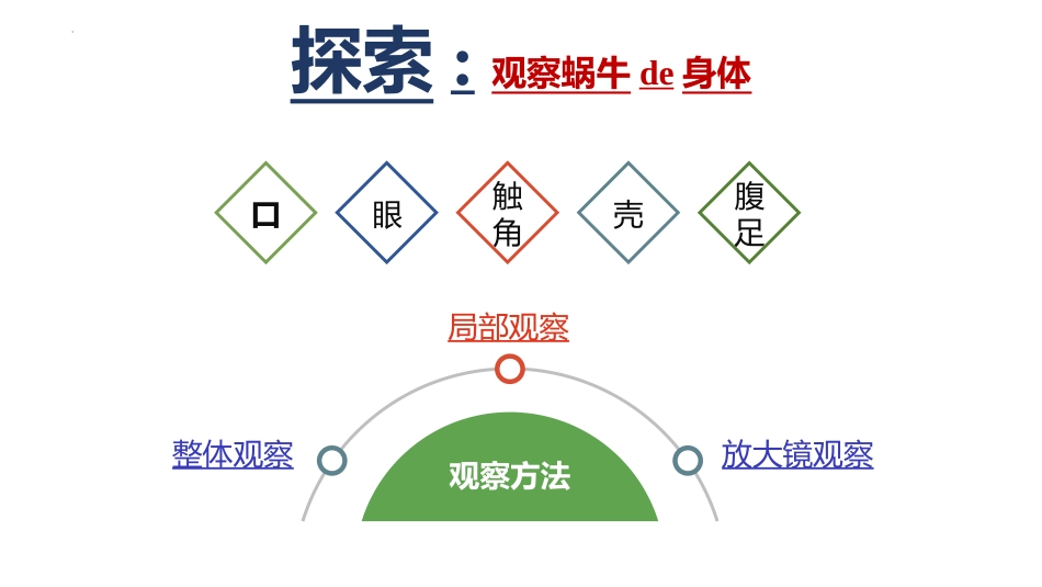 教科版一年级科学下册《观察一种动物》5.pptx_第3页