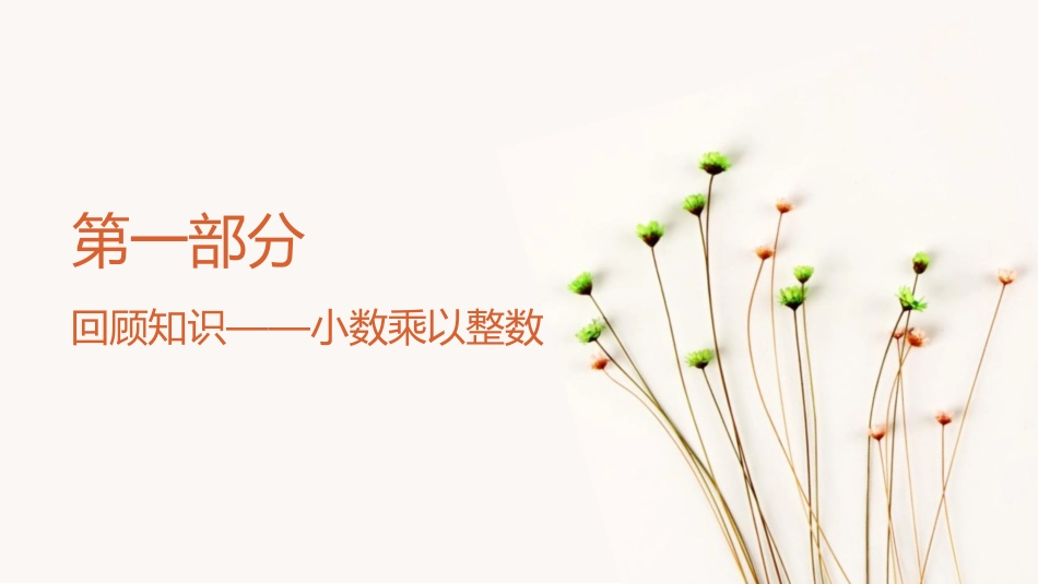 人教版五年级数学上册《小数乘小数》小数乘法课件6.pptx_第2页