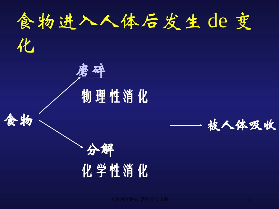 人体对食物的消化吸收识图培训课件.pptx_第2页