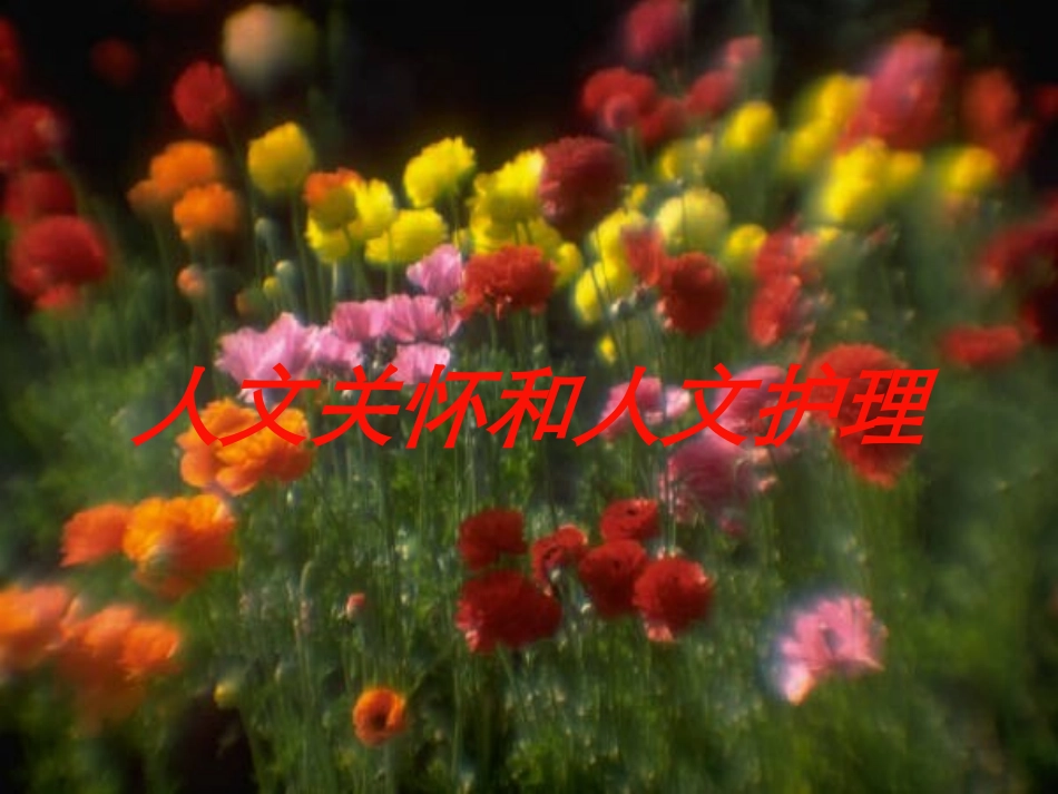 人文关怀和人文护理培训课件.pptx_第1页