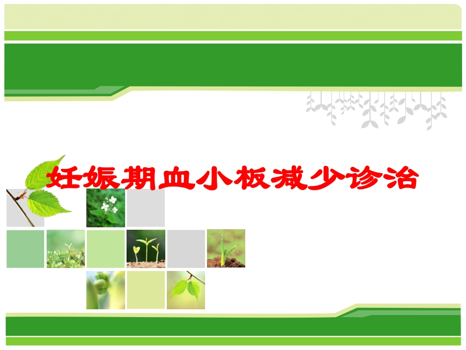 妊娠期血小板减少诊治培训课件.pptx_第1页
