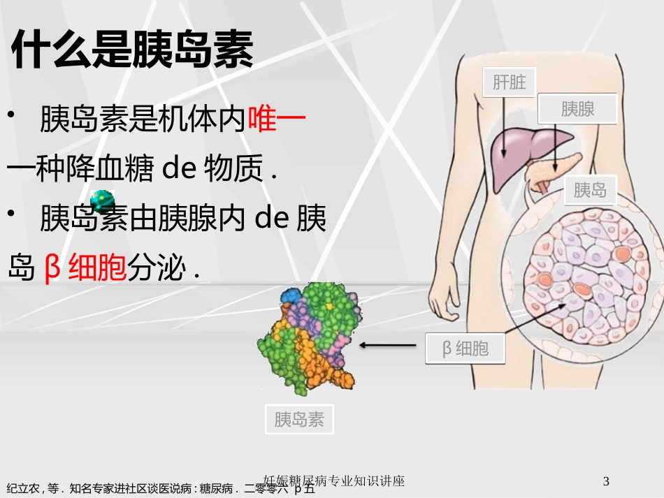 妊娠糖尿病专业知识讲座培训课件.pptx_第3页