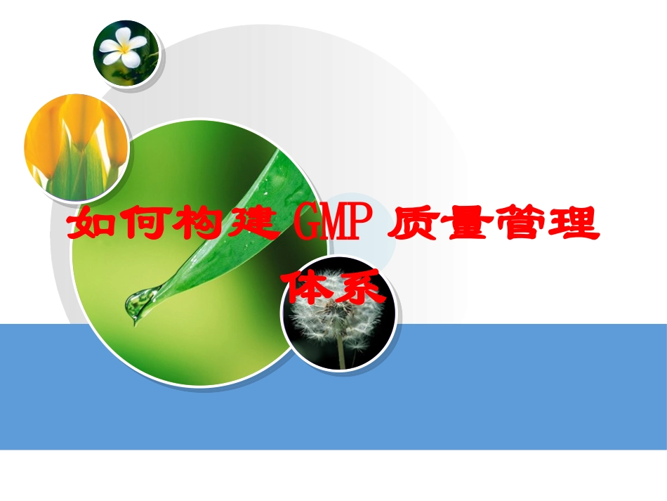 如何构建GMP质量管理体系培训课件.pptx_第1页