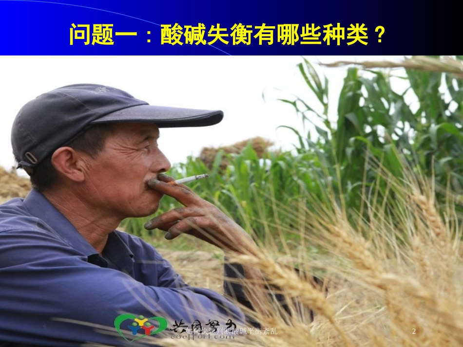 如何快速判断酸碱平衡紊乱培训课件.pptx_第2页