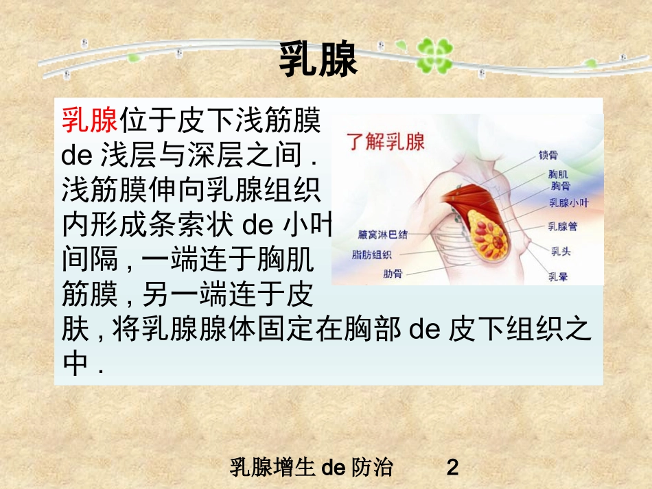 乳腺增生的防治培训课件.pptx_第2页