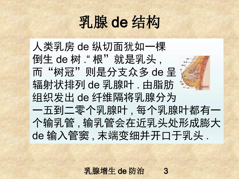 乳腺增生的防治培训课件.pptx_第3页