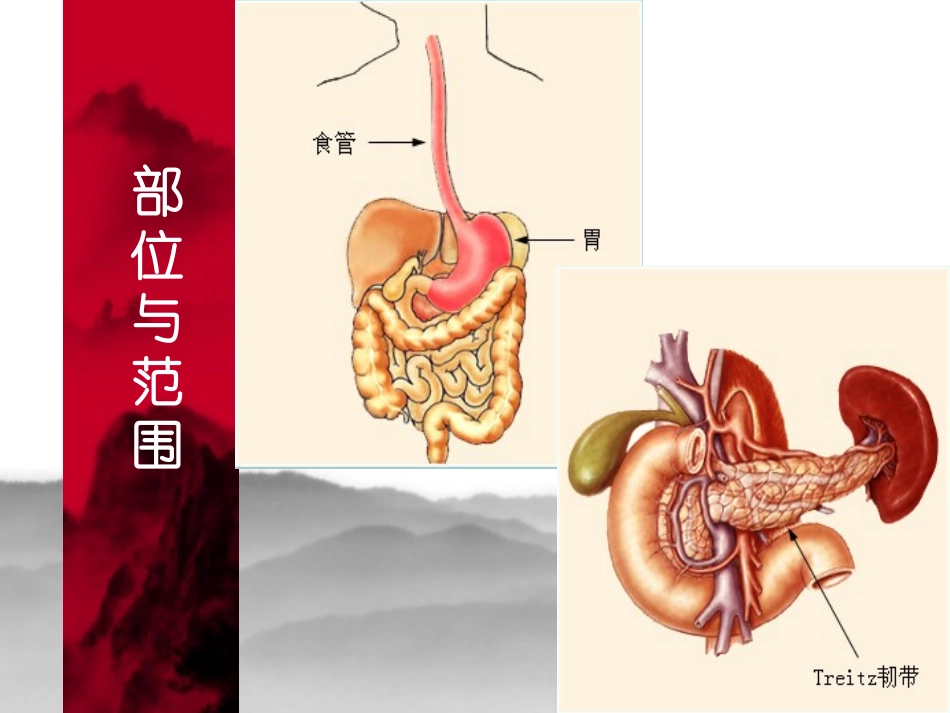 上消化道大量出血医学知识专题宣讲培训课件.pptx_第3页