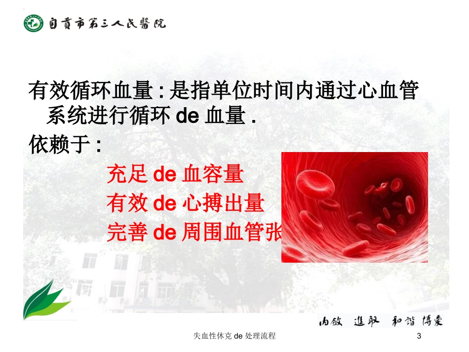 失血性休克的处理流程培训课件.pptx_第3页