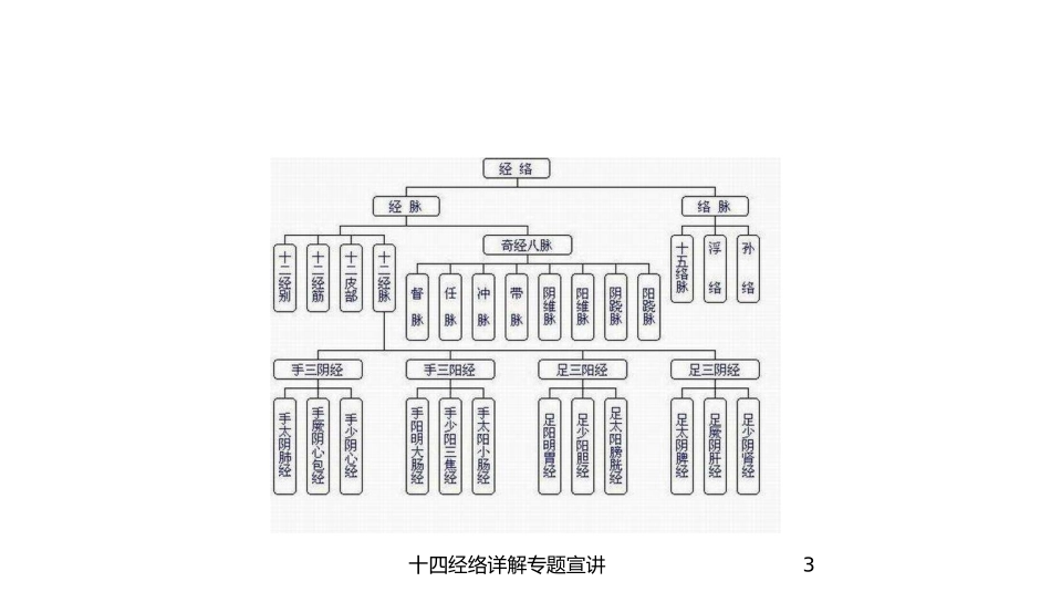 十四经络详解专题宣讲培训课件.pptx_第3页