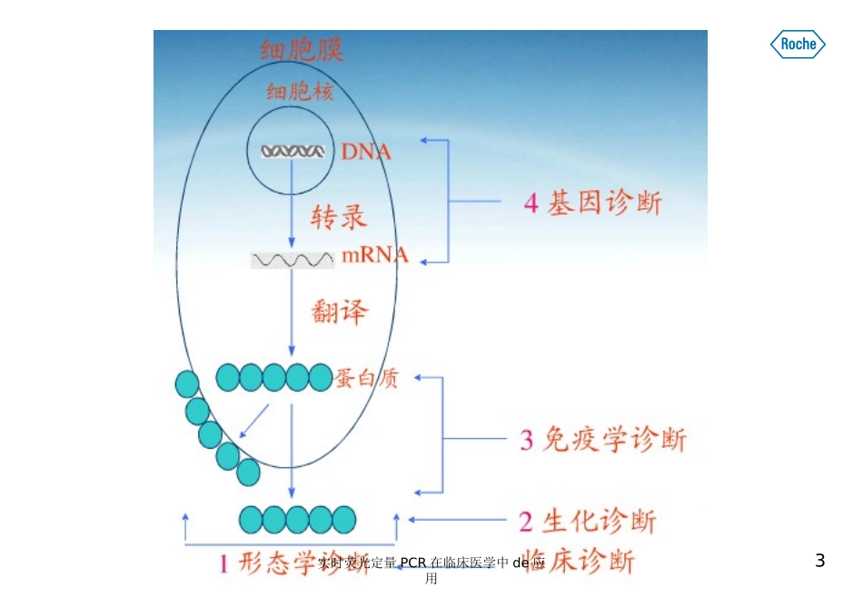 实时荧光定量PCR在临床医学中的应用培训课件.pptx_第3页