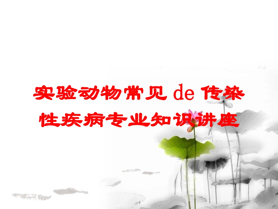 实验动物常见的传染性疾病专业知识讲座培训课件.pptx_第1页
