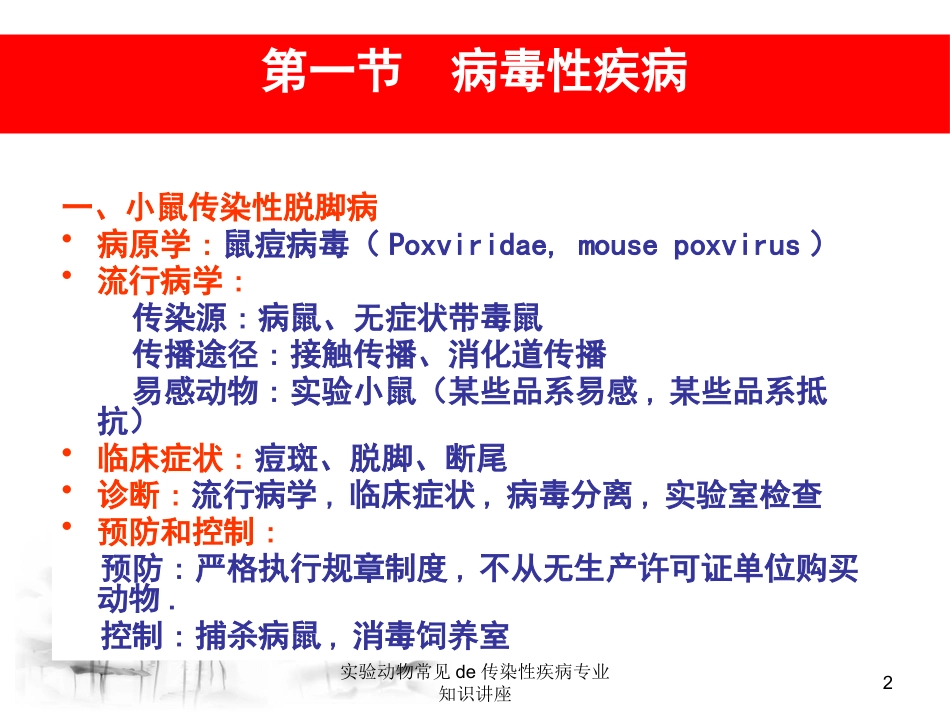 实验动物常见的传染性疾病专业知识讲座培训课件.pptx_第2页