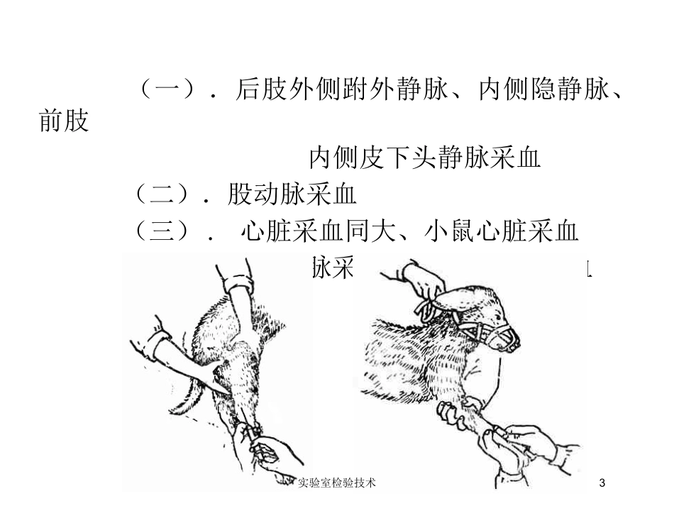 实验室检验技术培训课件.pptx_第3页