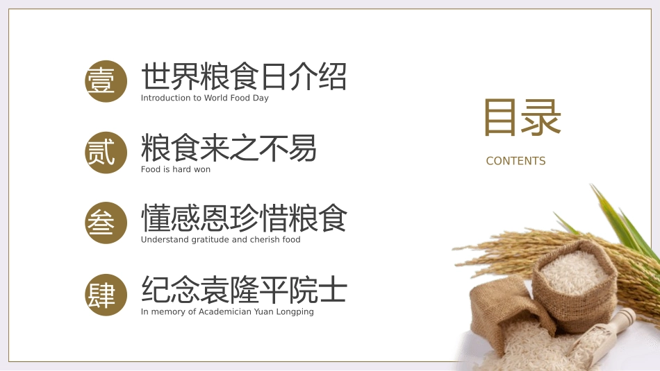 世界粮食日 珍惜节约粮食主题 116.pptx_第2页