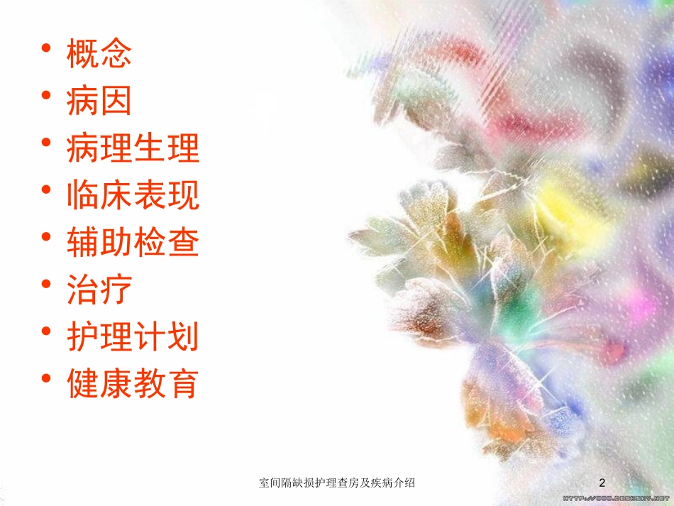 室间隔缺损护理查房及疾病介绍培训课件.pptx_第2页