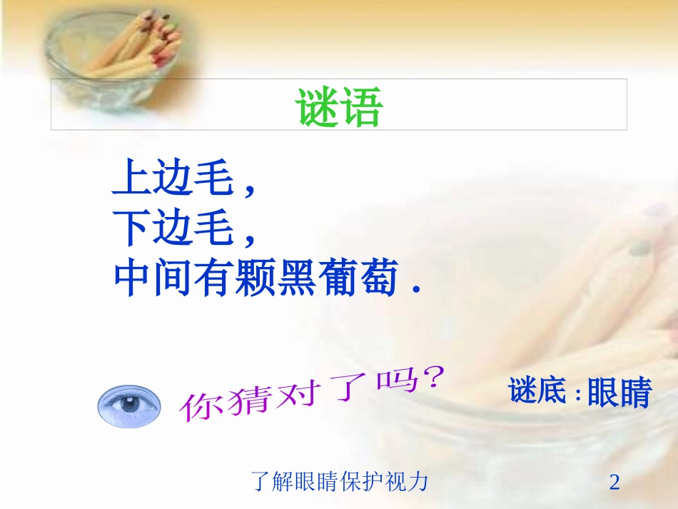 了解眼睛保护视力培训课件.pptx_第2页