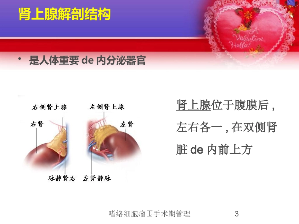 嗜络细胞瘤围手术期管理培训课件.pptx_第3页