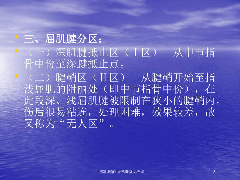 手部肌腱的损伤和修复培训培训课件.pptx_第3页