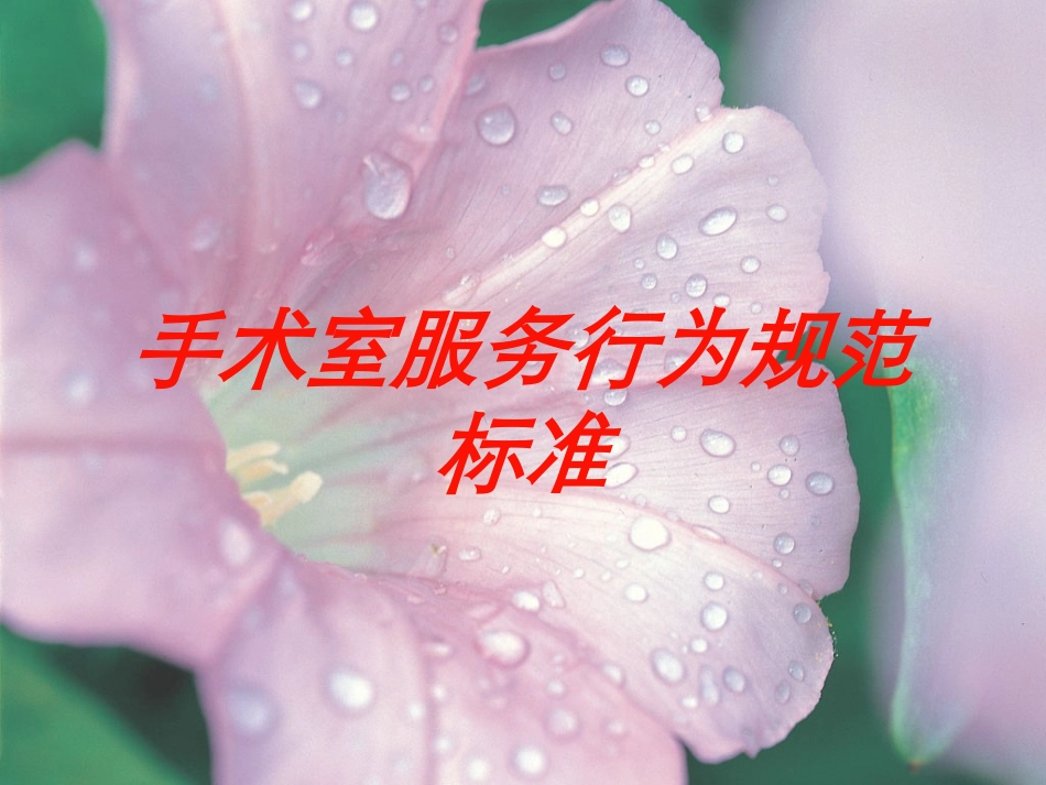 手术室服务行为规范标准培训课件.pptx_第1页