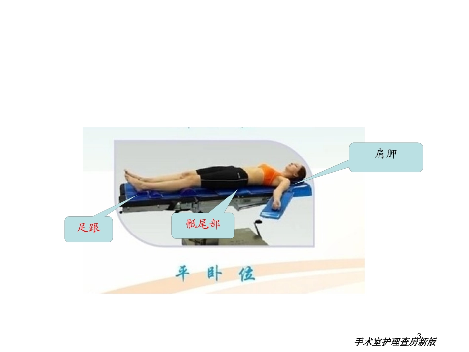 手术室护理查房新版培训课件.pptx_第3页