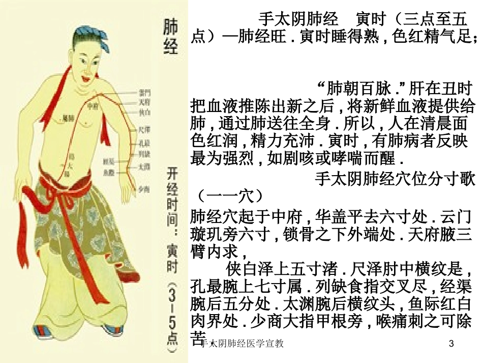 手太阴肺经医学宣教培训课件.pptx_第3页