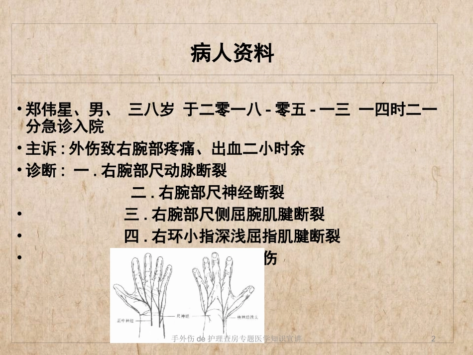 手外伤的护理查房专题医学知识宣讲培训课件.pptx_第2页