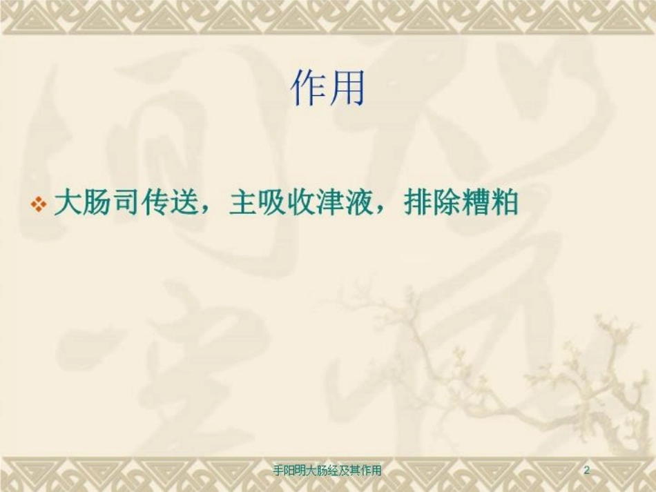 手阳明大肠经及其作用培训课件.pptx_第2页