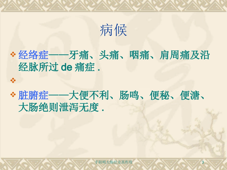 手阳明大肠经及其作用培训课件.pptx_第3页