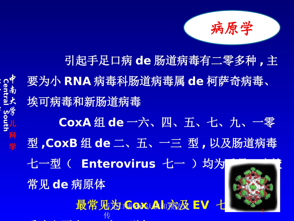 手足口病的认识和预防宣传培训课件.pptx_第3页