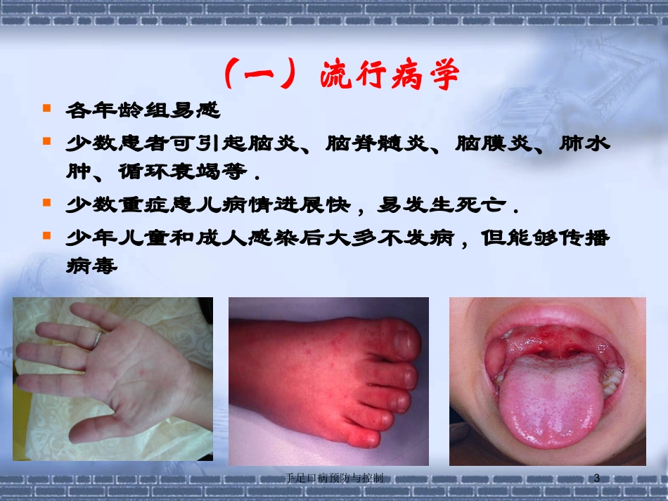 手足口病预防与控制培训课件.pptx_第3页