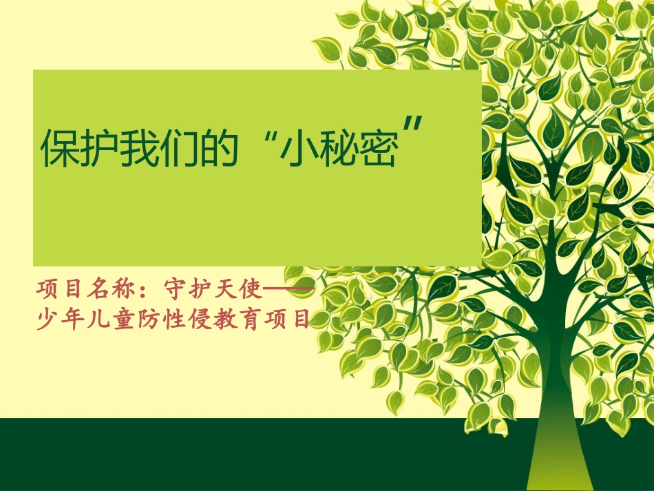 守护天使-少年儿童防性侵教育项目.pptx_第1页