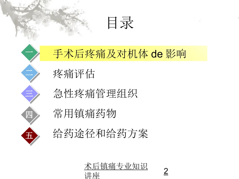 术后镇痛专业知识讲座培训课件.pptx_第2页