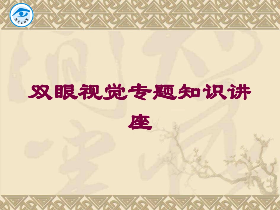 双眼视觉专题知识讲座培训课件.pptx_第1页