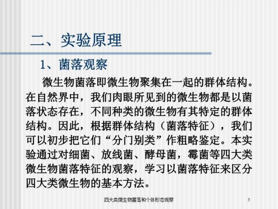 四大类微生物菌落和个体形态观察培训课件.pptx_第3页