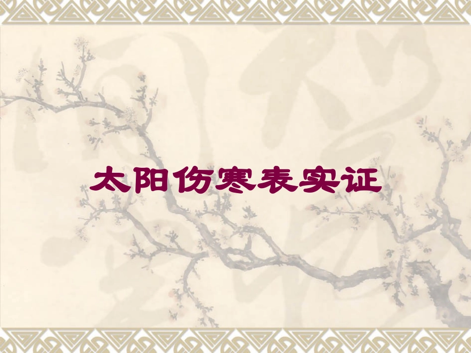 太阳伤寒表实证培训课件.pptx_第1页