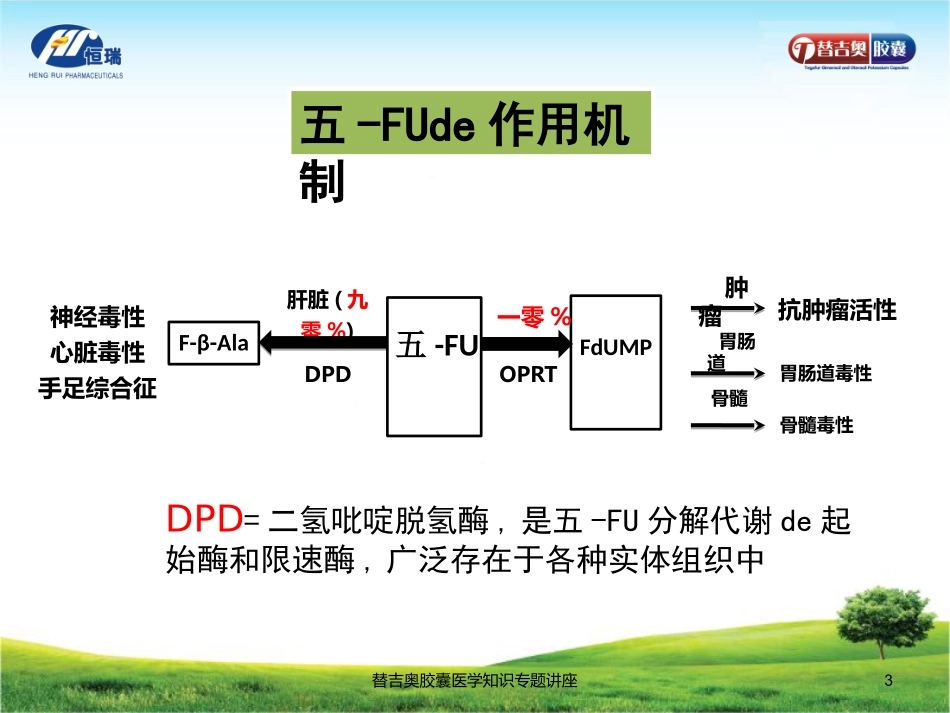 替吉奥胶囊医学知识专题讲座培训课件.pptx_第3页