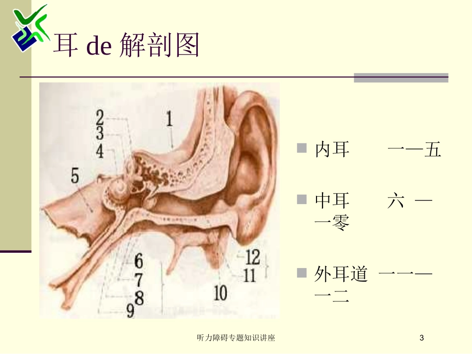 听力障碍专题知识讲座培训课件.pptx_第3页