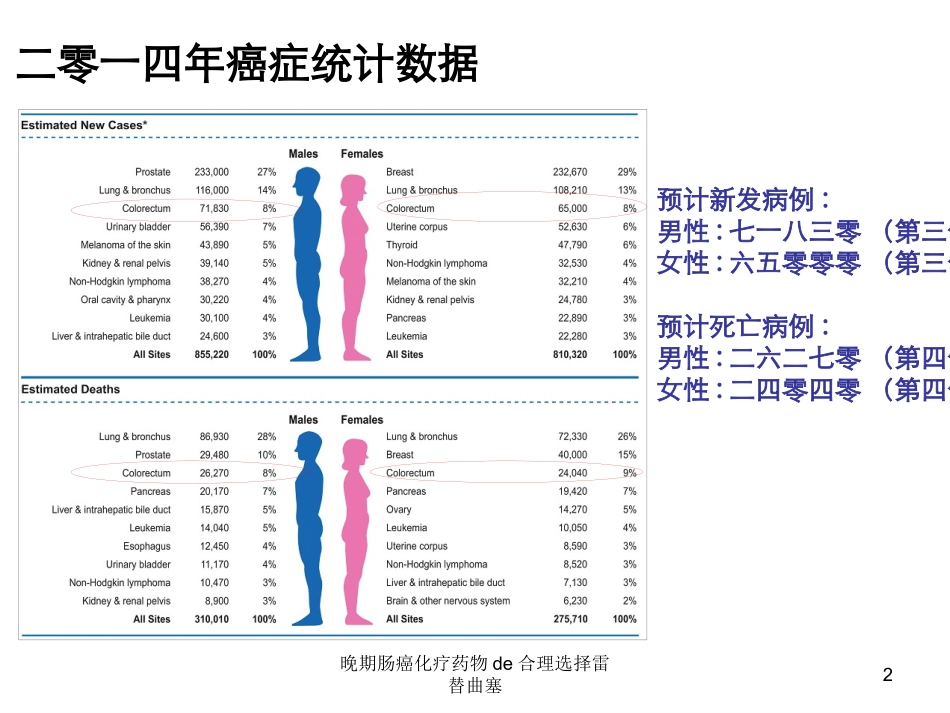 晚期肠癌化疗药物的合理选择雷替曲塞培训课件.pptx_第2页