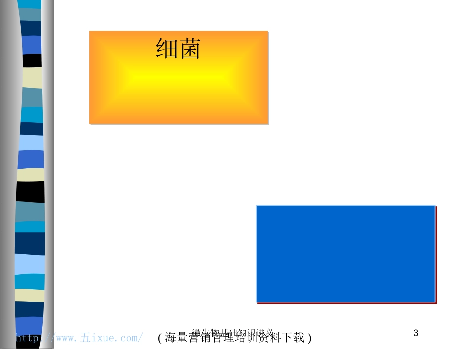 微生物基础知识讲义培训课件.pptx_第3页