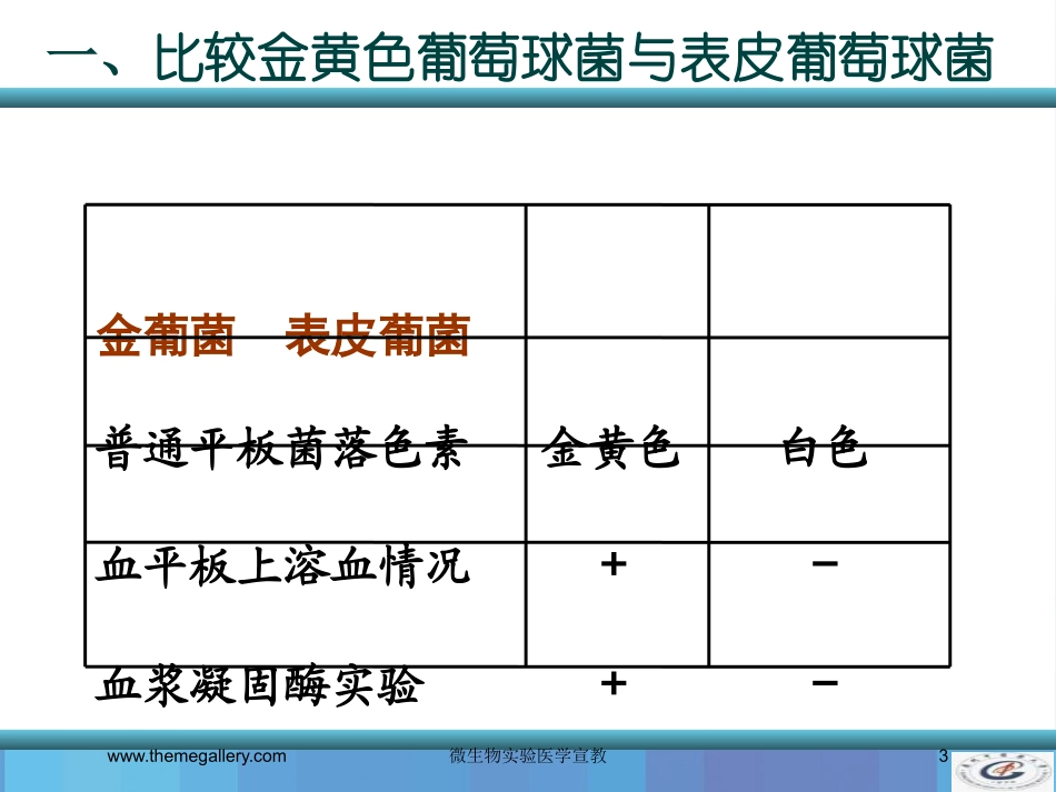 微生物实验医学宣教培训课件.pptx_第3页