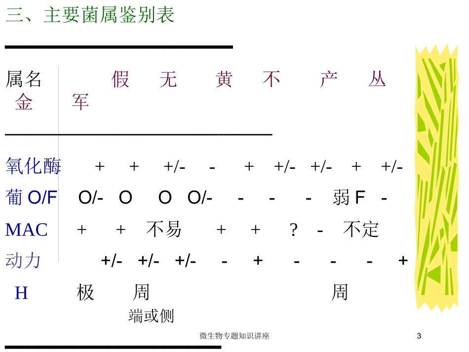 微生物专题知识讲座培训课件.pptx_第3页