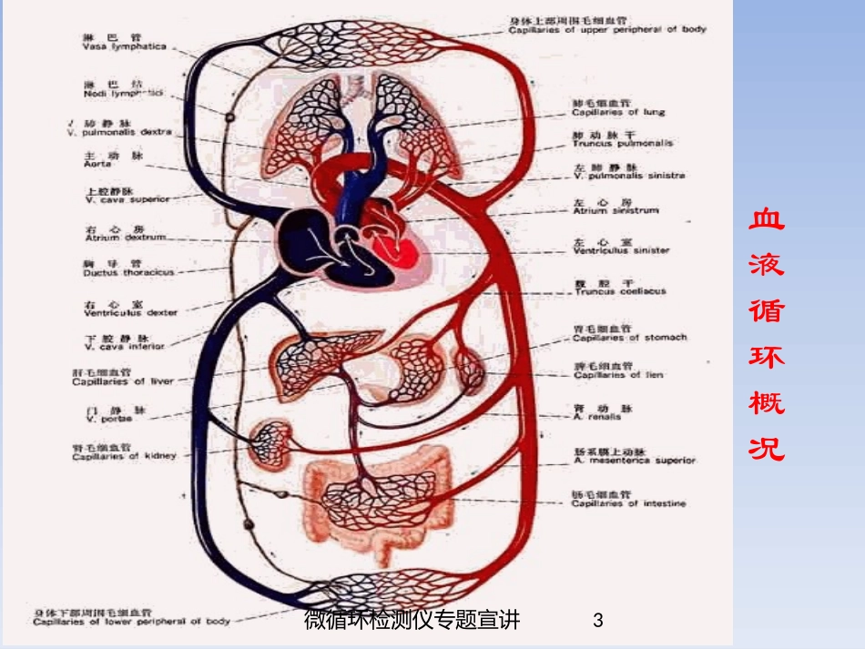 微循环检测仪专题宣讲培训课件.pptx_第3页