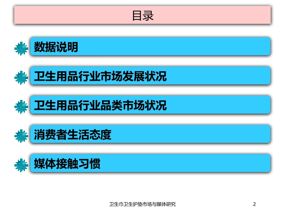 卫生巾卫生护垫市场与媒体研究培训课件.pptx_第2页