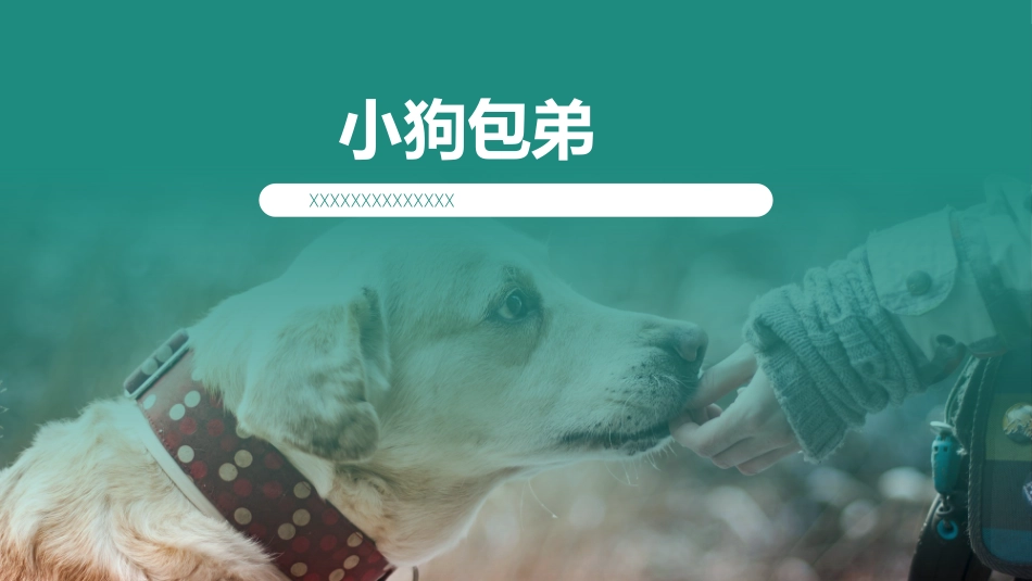 小狗包弟读书分享笔记.pptx_第1页