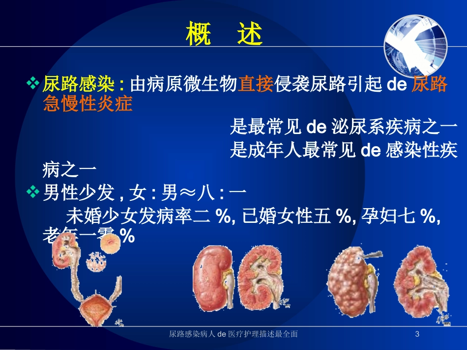 尿路感染病人的医疗护理描述最全面培训课件.pptx_第3页