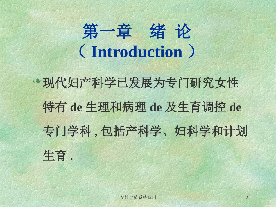 女性生殖系统解剖培训课件.pptx_第2页