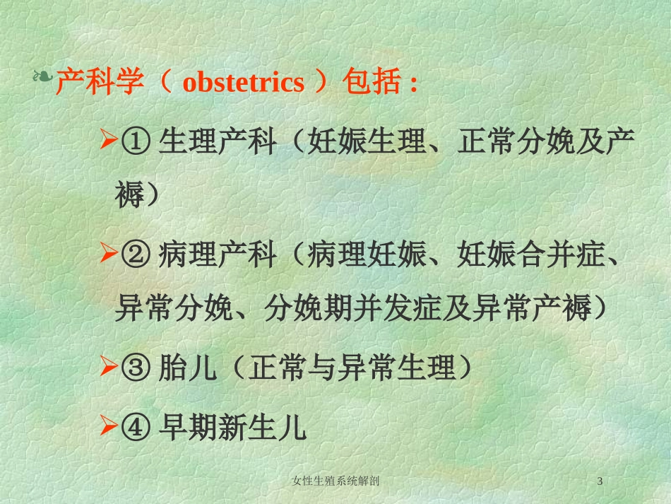 女性生殖系统解剖培训课件.pptx_第3页