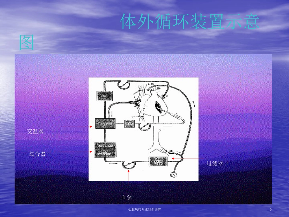 心脏疾病专业知识讲解培训课件.pptx_第3页