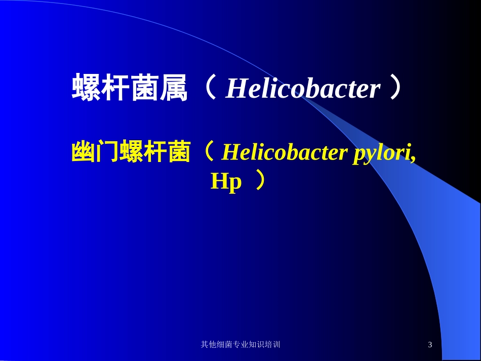 其他细菌专业知识培训培训课件.pptx_第3页