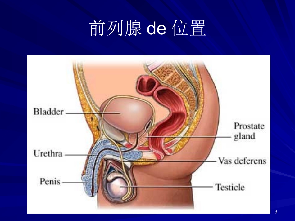 前列腺癌诊断治疗与护理培训课件.pptx_第3页